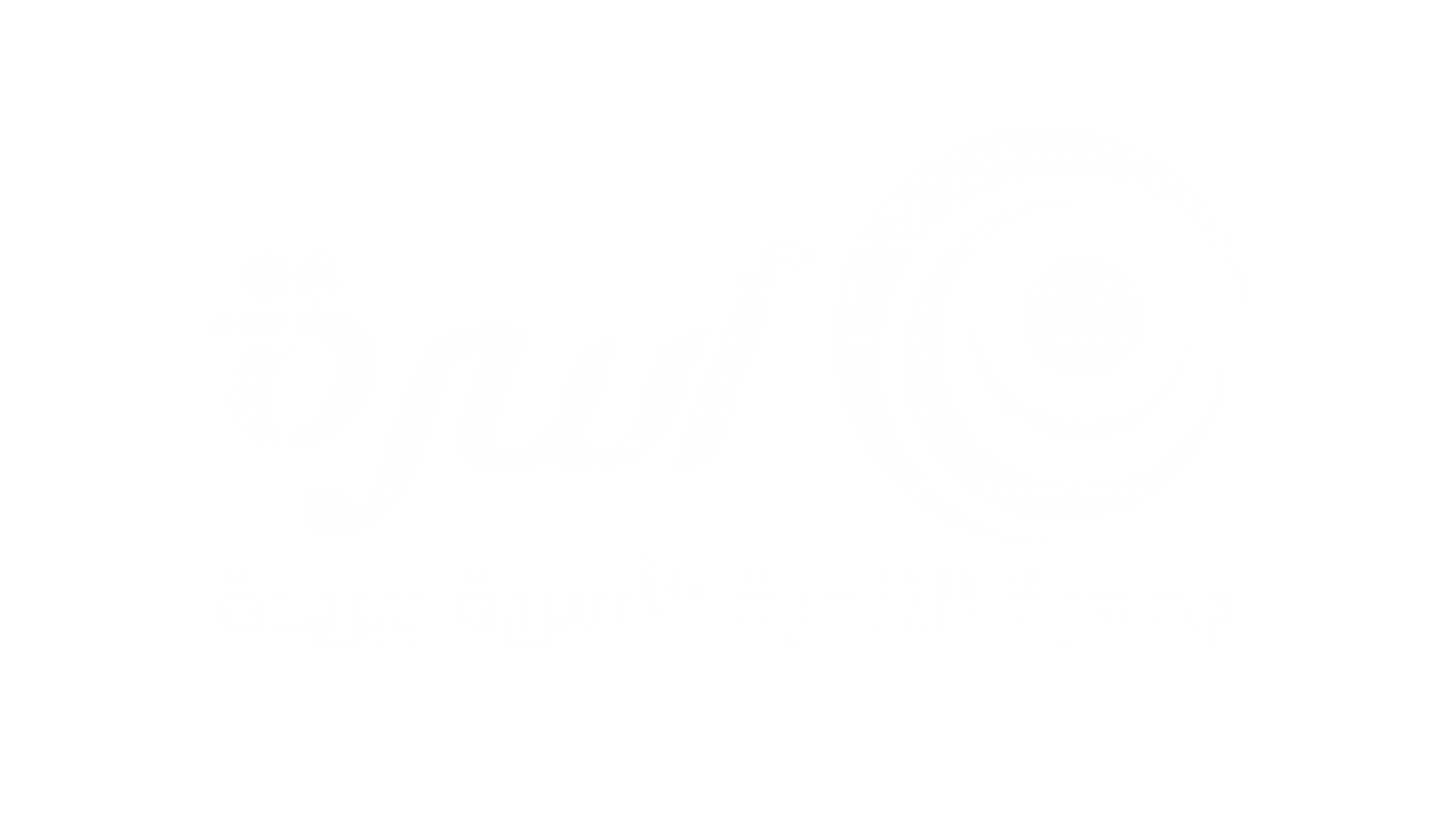 جمعية التنمية الأسرية ببريدة (أسرة)